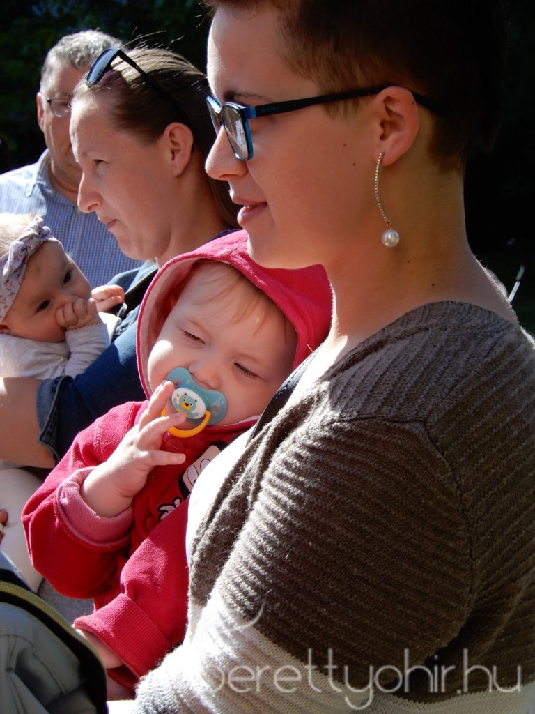 Életfa ültetés a város napján 33